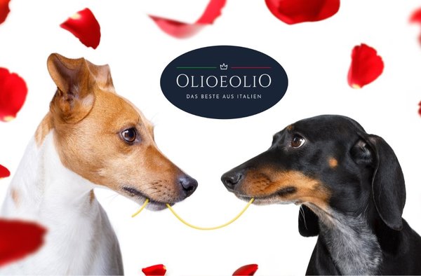 Verliebte Hunde bei OlioeoliO